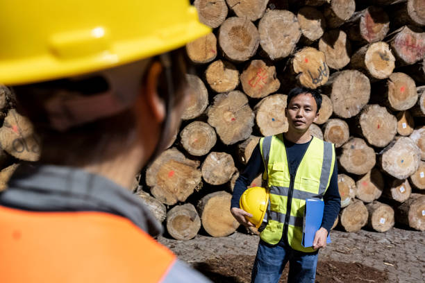 istock At night, two longshoremen are talking in a timber warehouse. 1397463167