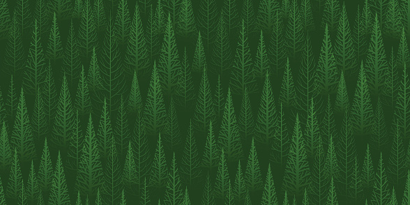 Seamless green vector trees or forest christmas background.