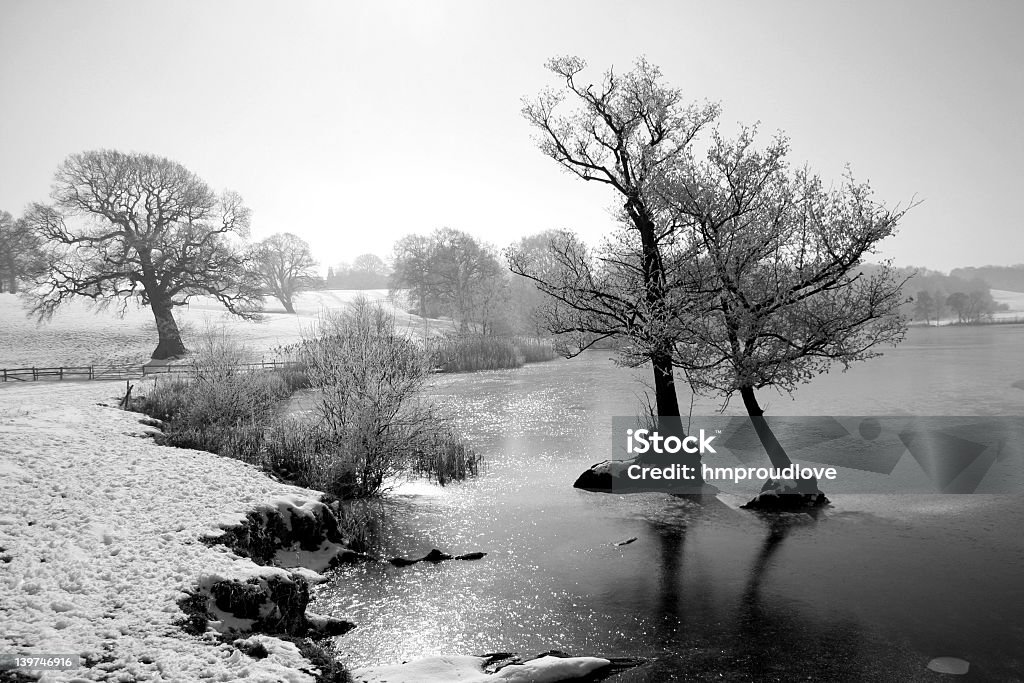 Marbury solo in bianco e nero - Foto stock royalty-free di Ambientazione esterna