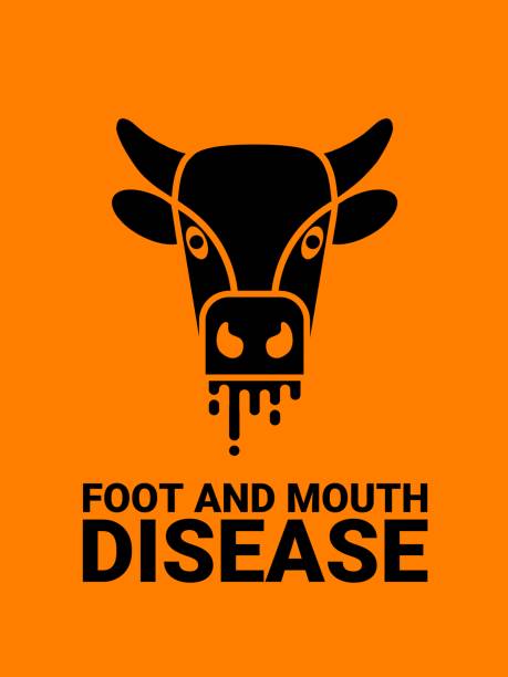 Foot And Mouth Disease Stock Photos, Pictures & Royalty-Free Images - iStock