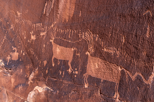 The Procession Panel, a well-known Ancetral Puebloan petroglyph panel near the top of Comb Ridge in Bears Ears National Monument, Utah.
