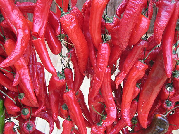 drying red pepper stock photo