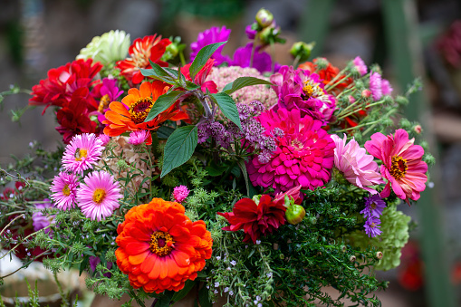 Colorful late summer flower bouquet with zinnias and aster