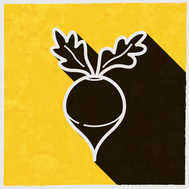 ilustrações de stock, clip art, desenhos animados e ícones de radish. icon with long shadow on textured yellow background - root paper black textured