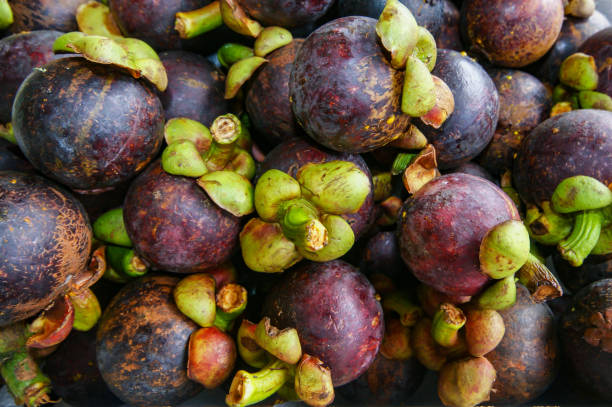 istock Mangosteen on a local market, Borneo 1397479752