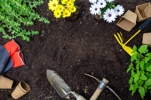 istock Garden flat lay. Tool and plant on soil background, overhead, copy space. Agriculture work template 1397480809