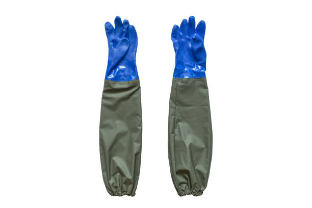 https://media.istockphoto.com/id/1397481091/photo/rubber-working-gloves-waterproof-long-protective-gloves.jpg?s=612x612&w=0&k=20&c=t6Zd9EMHLwcoqkJk3BFx2TyQefPFopiphA34GLMZUG8=