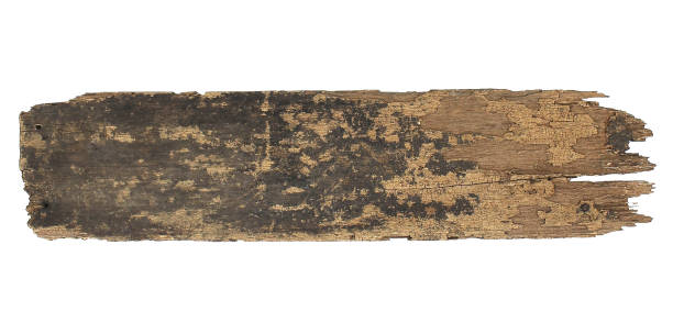 istock Old plank of wood isolated on white background 1397486954