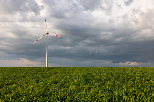 Wind turbine on green agricultural field under the  gray cloudy sky, switch to sustainable energy sources
