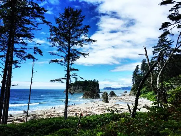 Lovely afternoon at scenic Ruby Beach, Washington