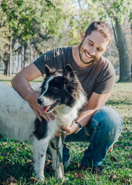 homme avec son chien jouant dans le parc - dog retrieving german shepherd pets photos et images de collection