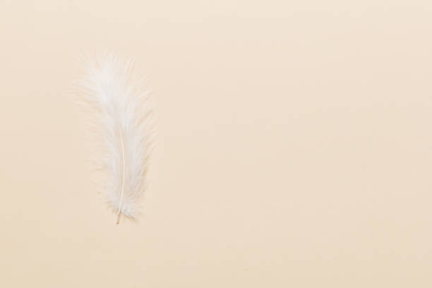 istock background of brightly colored dyed bird feathers on Colored background, top view. Copy space 1397489128