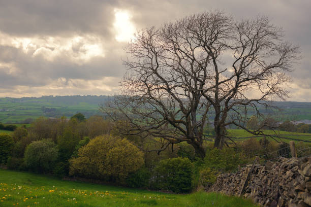 istock Hills and nature in England 1397491547