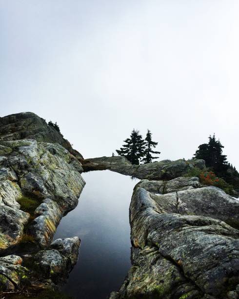 troisième parc par une journée brumeuse - mt seymour provincial park photos et images de collection