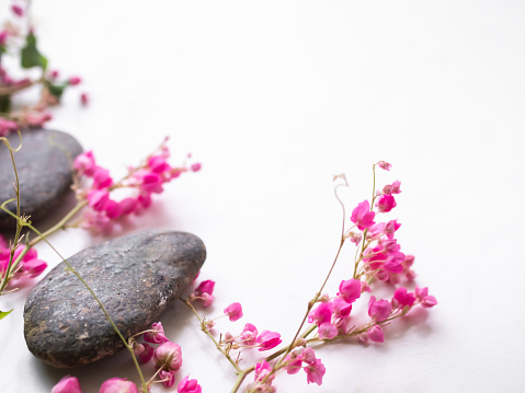 Zen pubbles with pink flowers on white table.Aroma therapy massage spa set for luxury bathroom hotel or professional massage aromatic oriental for health concpt. free space and top view image.