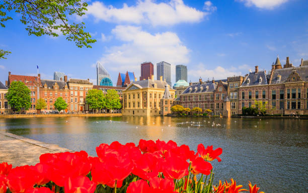 The Hague, Netherlands. The Hague, Netherlands.  Downtown Skyline, Parliament Buildings and The Hofvijver lake. binnenhof photos stock pictures, royalty-free photos & images
