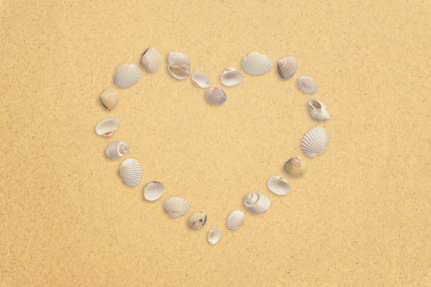 istock Heart made of shells on the sand with free space for text 1397494457