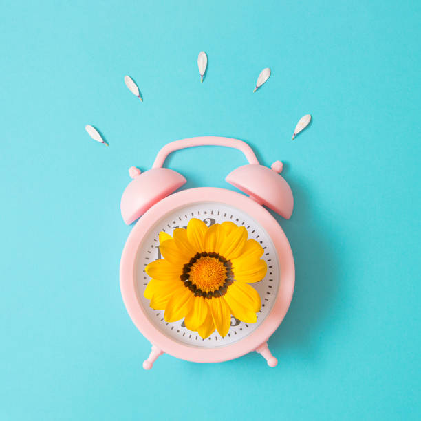 istock Composition-Summer time from  yellow flower and pink clock on blue background. Flat lay, top view 1397495464
