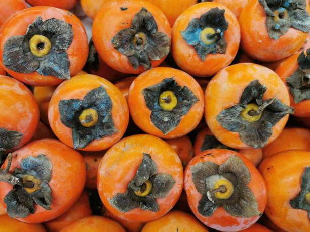 many persimmons organically grown - persimmon imagens e fotografias de stock