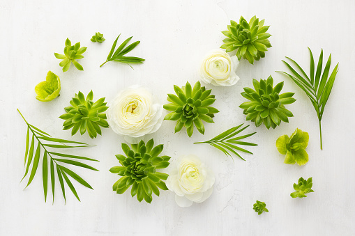 Composition of beautiful flowers, succulents and leaves on light background. Flowers arrangement.Top view, copy space.