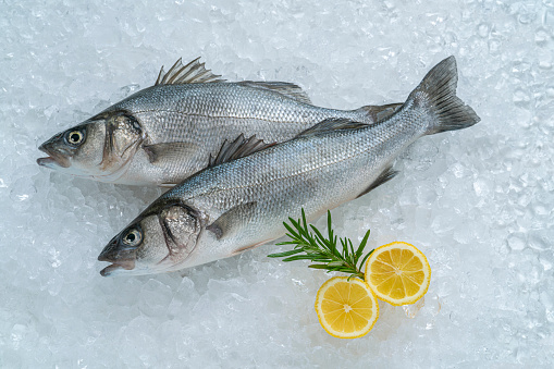 Raw Seabass fish Robalo fresh seafood two fishes on ice with lemon and rosemary leaving a copy space