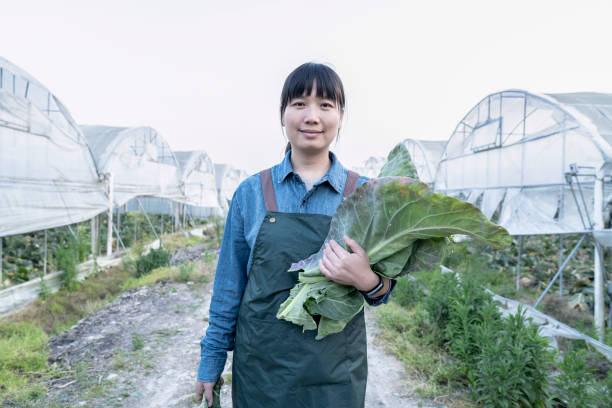 istock A woman farmer works in a vegetable warehouse 1397501075