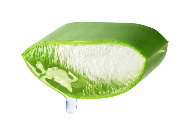 istock Slice of Aloe vera leaf with juice drop isolated on white background. 1397502659