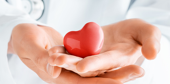 Doctor de manos sosteniendo el corazón rojo. photo