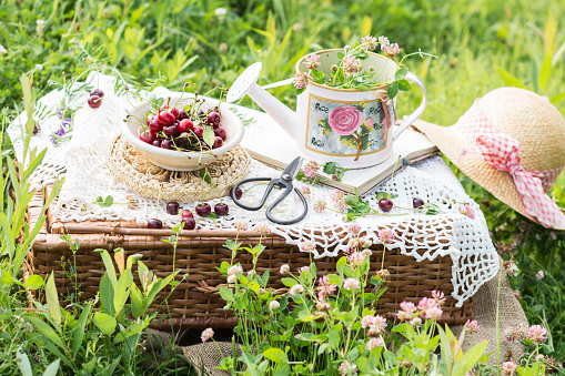 Cherries in plate on  picnic suitcase with crocheted tablecloth, decorated vase watering can  with clovers in it on the book, scissors, straw hat with ribbon,  picnic basket  in meadow with clovers and cherries, summer’s lifestyle  concept