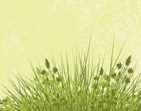 Editable vector illustration of grassy vegetation with grunge and vegetation as separate layers