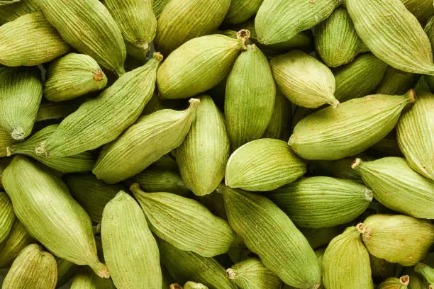Green organic cardamom or elakka. Food background. Top view. Close up.