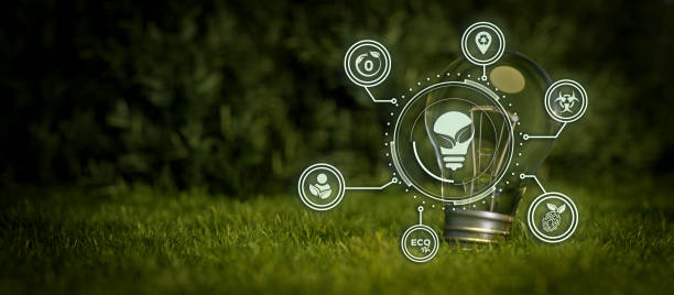 istock Abstract Eco ESG Lightbulb Modernization Environmental Social Governance Conservation And CSR Policy. Earth Globe With Forest Background Illustrative Banner Background 3D Illustration 1397508942