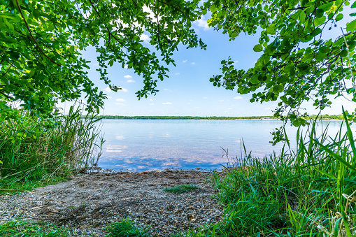 A beautiful view of a beach on the Cospudener lake surrounded by leaves