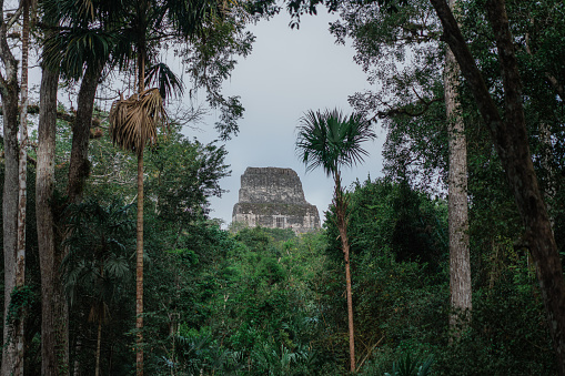 Scenic view of Tikal Mayan pyramids in Guatemala