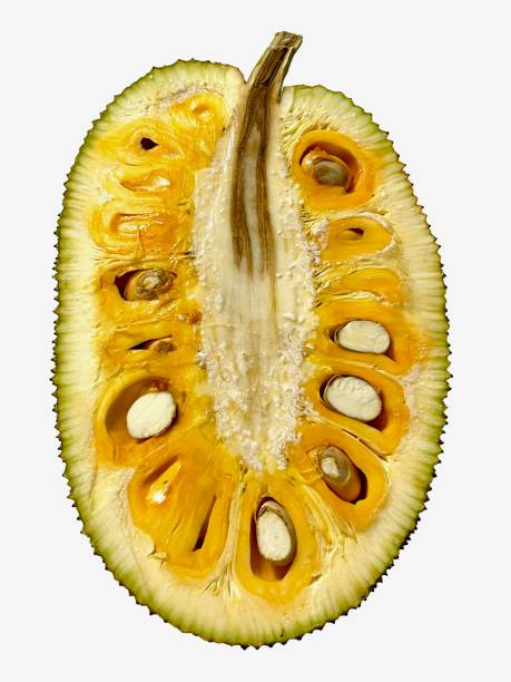 Jackfruit