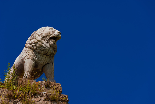 The Lion of Pisa, an ancient etruscan statue at the top of city ancient walls (with blue sky and copy space)