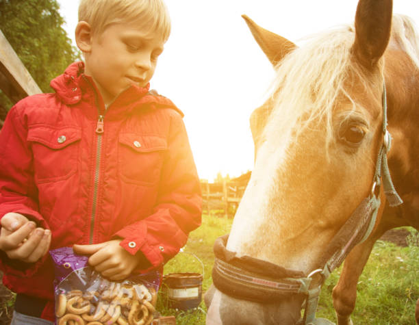 istock Boy with horse in farm 1397512725
