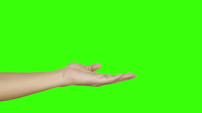 Hand Green Screen