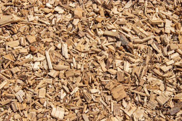 istock Wood chips arranged on the floor 1397514540