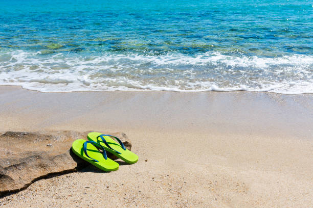 istock Colorful flip flops by the shore 1397515634