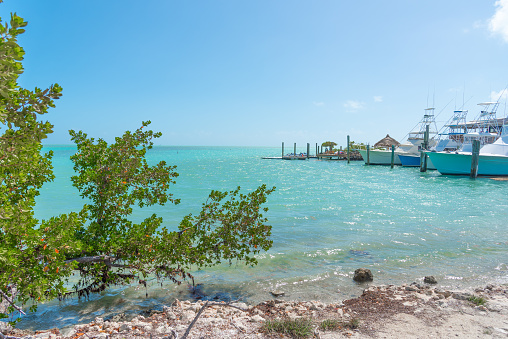Small dock in the Florida Keys on a sunny day, USA