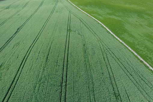 Aerial view from a drone of agricultural fields in Scotland on a bright spring morning