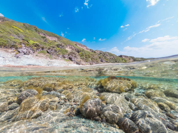 istock Crystal clear water in La Speranza beach in split underwater view 1397516100