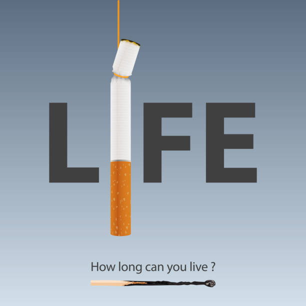May 31st World No Tobacco Day banner design. Smoking causes death faster concept. Stop smoking poster for disease warning. No smoking sign. May 31st World No Tobacco Day banner design. Smoking causes death faster concept. Stop smoking poster for disease warning. No smoking sign. Vector Illustration. anti tobacco day stock illustrations