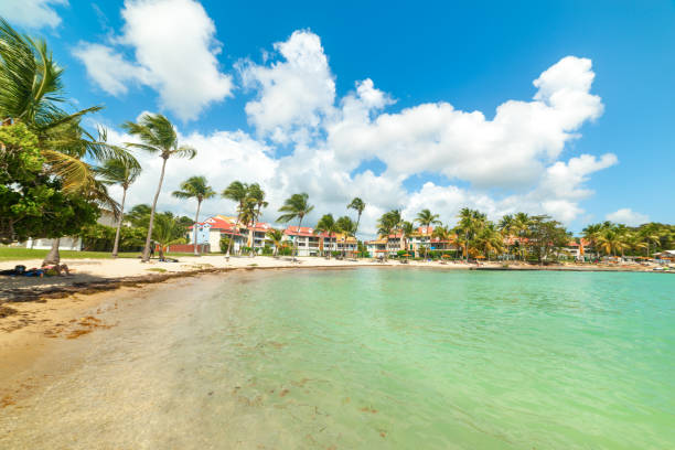 istock Blue sky over Bas du Fort beach in Guadeloupe 1397517039