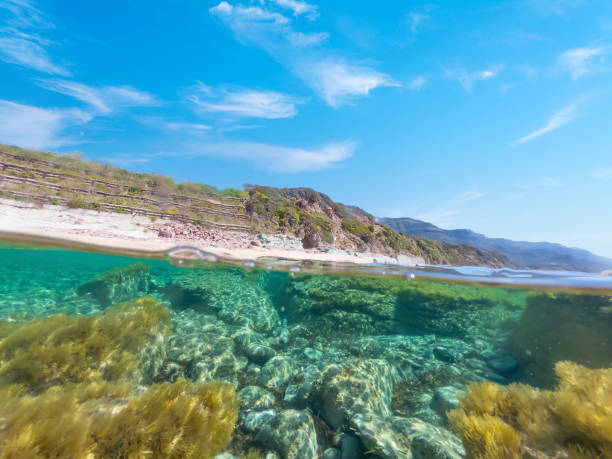 istock Split underwater view of La Speranza beach. turquoise water 1397517482
