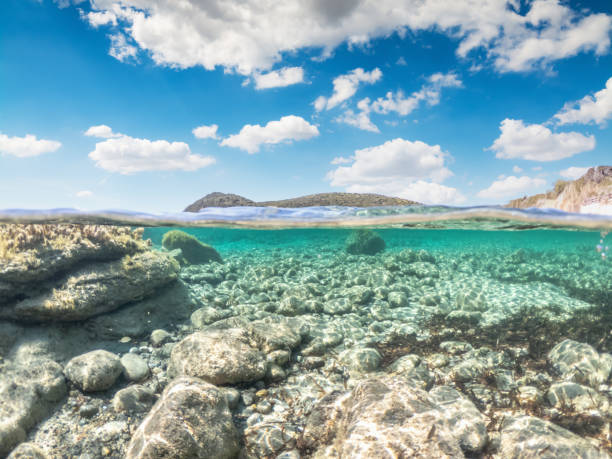 istock Split underwater view of La Speranza rocky seabed 1397517548