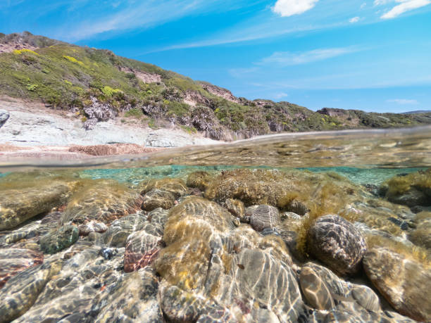 istock Split underwater view of rocks in La Speranza seabed 1397518462