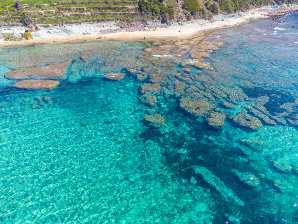 istock Aerial view of La Speranza beach in spring 1397518647