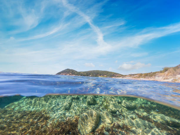 istock Split underwater view of rocks and sand in La Speranza beach 1397518986